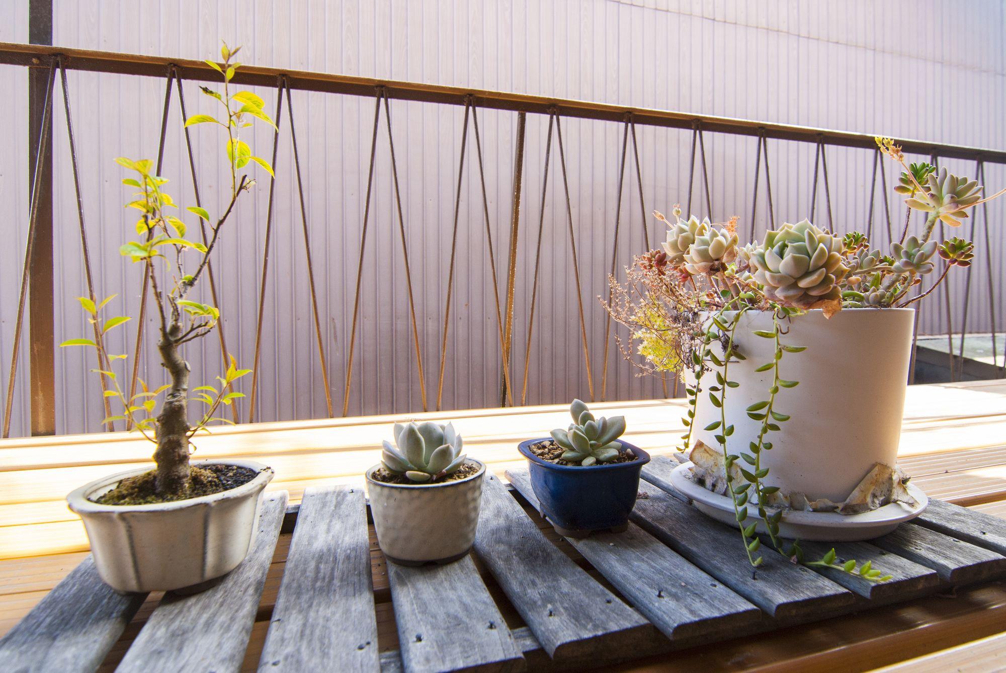 Kyo No Yado Bamboo Town Villa Kyoto Eksteriør billede